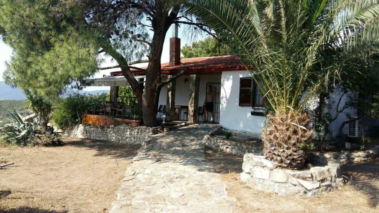 Villa Athos Sarti Ngoại thất bức ảnh